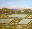 47-Hasat Zamanı